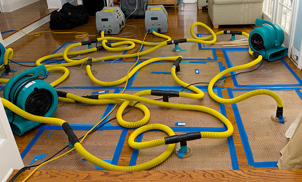 Professional Emergency Water Removal technician working in Bayport, NY